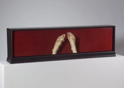 Lisa Bartolozzi, Their Reliquary, 1997