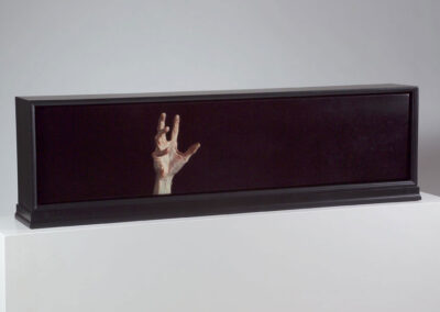 Lisa Bartolozzi, Their Reliquary, 1997