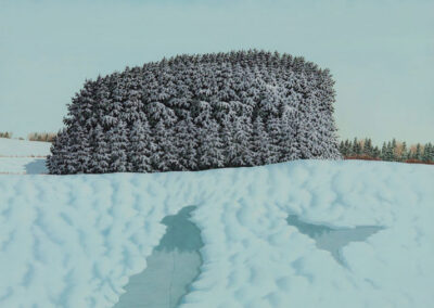 Alan Bray, Pine Stand, 1999
